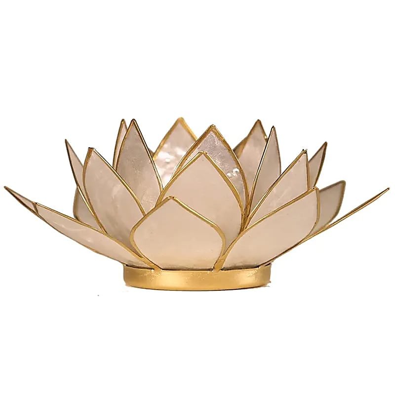 Windlicht Lotus weiss goldfarben Capiz Muschelkalk