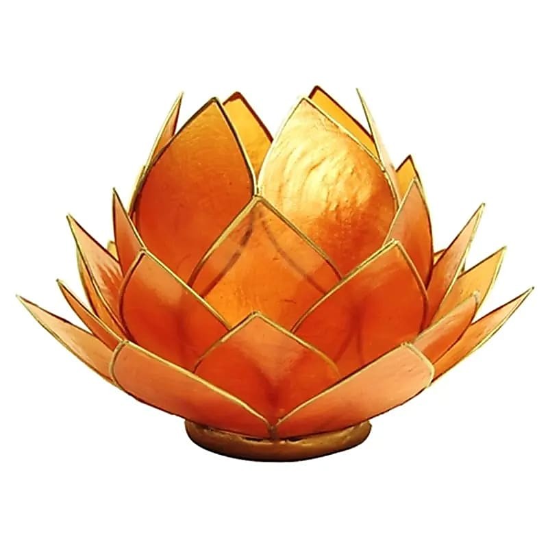 Windlicht Lotus gross orange goldfarben Capiz Muschelkalk