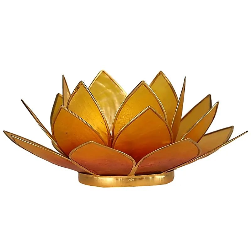 Windlicht Lotus orange goldfarben Capiz Muschelkalk